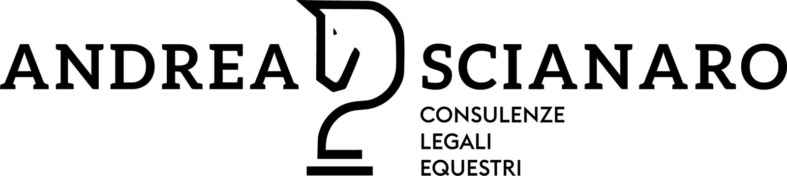 logo andrea scianaro scaled